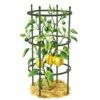 Titan Pepper Eggplant Cages, Set Of 3 -garden Sales Store 8599859 0001 art tif