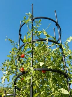 Titan Tall Tomato Cages, Set Of 3 -garden Sales Store 8599860 0066 tif