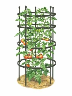 Titan Tomato Cages, Set Of 3 -garden Sales Store 8599861 0001 art tif
