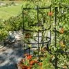 Titan Tomato Cages, Set Of 3 -garden Sales Store 8599861 0049 tif