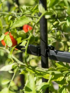 Titan Tomato Cages, Set Of 3 -garden Sales Store 8599861 0079 tif