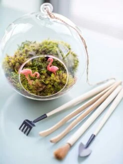 Terrarium Tools, Set Of 4 -garden Sales Store 8599884 01V tif
