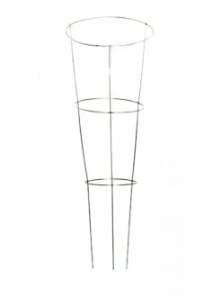 Heavy-Duty Galvanized Plant Supports 42", Set Of 5