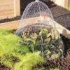 Chicken Wire Cloche With Extension -garden Sales Store 8600116 0482 tif