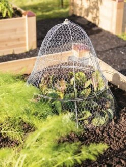 Chicken Wire Cloche With Extension