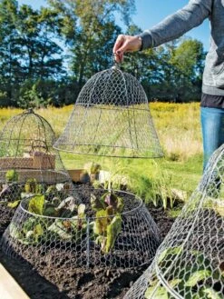 Chicken Wire Cloche With Extension -garden Sales Store 8600116 0604 3 4