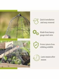 Chicken Wire Cloche With Extension -garden Sales Store 8600116 3