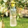 Bottle Insect Traps, Set Of 6 -garden Sales Store 8600119 0532 tif