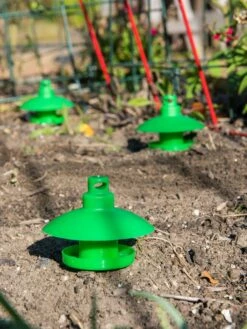 Slug And Snail Traps, Set Of 3