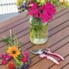 Gardener's Floral Pruning Bypass Shears -garden Sales Store 8600299 19581 tif