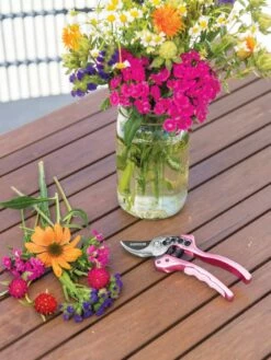 Gardener's Floral Pruning Bypass Shears