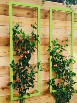 Ina Modern Wall Trellis Sr. -garden Sales Store 8600510 01V tif
