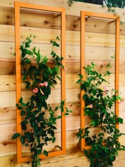 Ina Modern Wall Trellis Sr. -garden Sales Store 8600510 04V tif