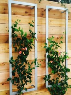 Ina Modern Wall Trellis Sr. -garden Sales Store 8600510 06V tif
