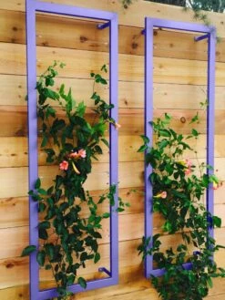 Ina Modern Wall Trellis Sr. -garden Sales Store 8600510 07V tif