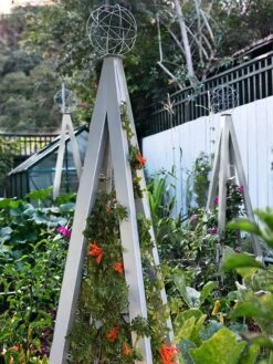 Akoris Garden Tuteur Jr. -garden Sales Store 8600517 07V tif