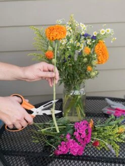 Gardener's Multi Purpose Scissors -garden Sales Store 8608655 19555 tif