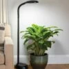 Agrobrite Floor LED Plant Lamp -garden Sales Store 8608870 0308 tif
