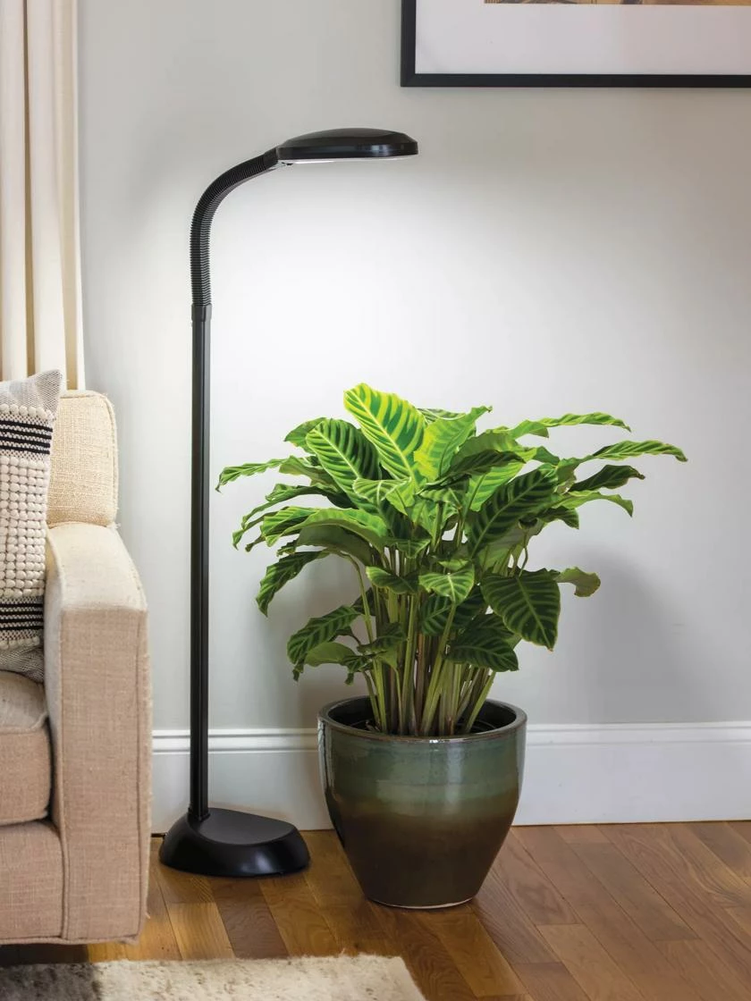 Agrobrite Floor LED Plant Lamp 3 Agrobrite Floor LED Plant Lamp