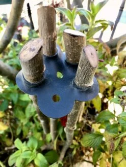 Garden Cane Connects, Set Of 6 -garden Sales Store 8609019 01V tif