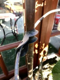 Garden Cane Connects, Set Of 6 -garden Sales Store 8609019 03V tif