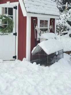 Chicken Wire Crop Coop -garden Sales Store 8609080 03IN tif