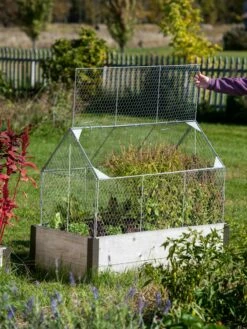 Chicken Wire Crop Coop -garden Sales Store 8609080 4024