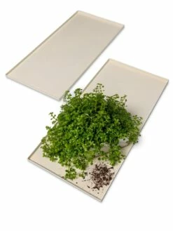 Oslo Grow Light Garden Trays, Set Of 2 -garden Sales Store 8609187 7686 tif