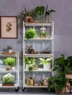 Oslo 4-Tier LED Grow Light Garden