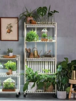 Oslo 4-Tier LED Grow Light Garden -garden Sales Store 8609188 4118 tif