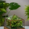 Art Decco Copper And Glass Terrariums -garden Sales Store 8609210 0318 tif