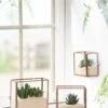 Copper And Glass Terrariums, Set Of 3 -garden Sales Store 8609212 2964 tif