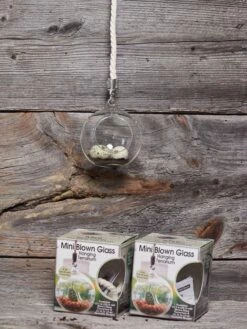 Mini Blown-Glass Hanging Terrarium, Set Of 2 9 Mini Blown-Glass Hanging Terrarium, Set Of 2 -garden Sales Store 8609218 01v