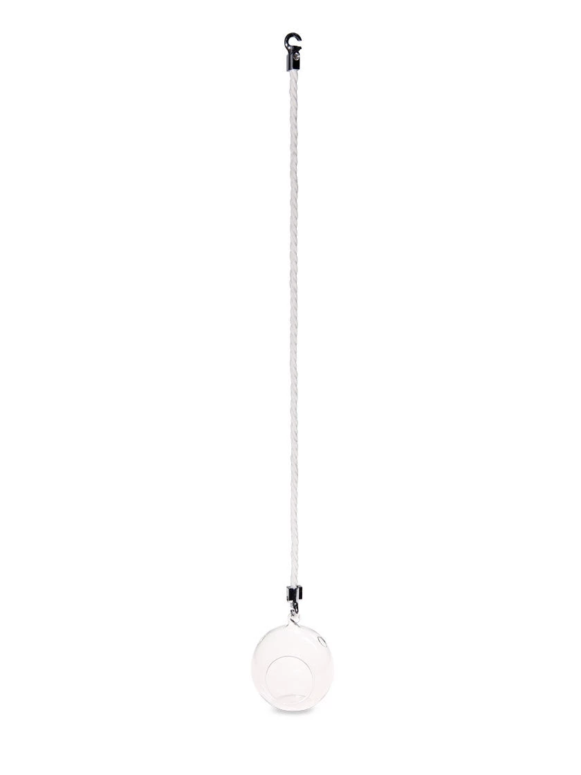 Mini Blown-Glass Hanging Terrarium, Set Of 2 6 Mini Blown-Glass Hanging Terrarium, Set Of 2 - Image 4