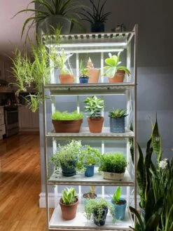 Oslo 4-Tier LED Grow Light Garden -garden Sales Store 8609220 03IN tif