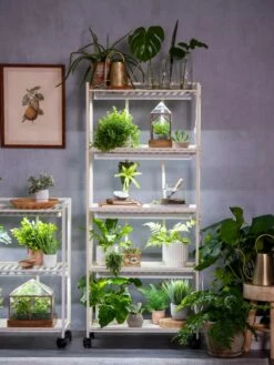 Oslo 4-Tier LED Grow Light Garden -garden Sales Store 8609220 4116 tif