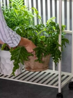 Oslo 2-Tier LED Grow Light Garden, 2 Fixtures -garden Sales Store 8609220 4122 tif