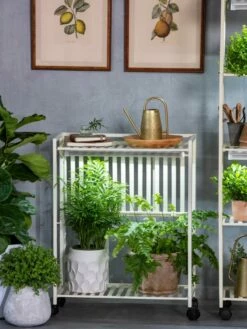 Oslo 2-Tier LED Grow Light Garden, 2 Fixtures -garden Sales Store 8609221 7236 tif