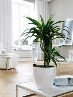 Hydro Wine Container Watering System, Set Of 4 12 Hydro Wine Container Watering System, Set Of 4 -garden Sales Store 8609224 02V tif