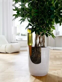 Hydro Wine Container Watering System, Set Of 4 13 Hydro Wine Container Watering System, Set Of 4 -garden Sales Store 8609224 04V tif