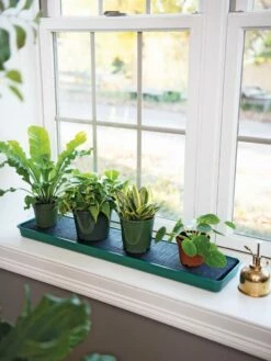 Self-Watering Windowsill Tray 9 Self-Watering Windowsill Tray -garden Sales Store 8609873 9011 tif