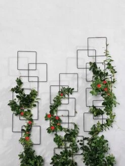 Building Blocks Wall Trellis, 45" 8 Building Blocks Wall Trellis, 45" -garden Sales Store 8610183 5811 tif