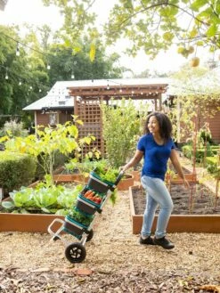 Mod Hod Trolley With Teal Mod Hods -garden Sales Store 8610240 0070 tif