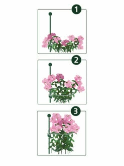 Peacock Mini Plant Support Rings 4", Set Of 2 -garden Sales Store 8610383 07v