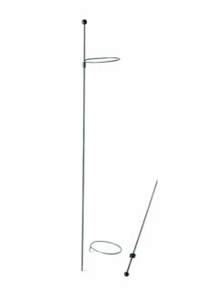 Peacock Mini Plant Support Rings 4", Set Of 2 -garden Sales Store 8610386 9566