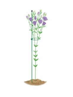 Peacock Mini Plant Support Rings 4", Set Of 2 -garden Sales Store 8610386 peacock4x36