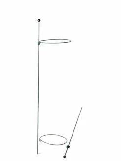 Peacock Mini Plant Support Rings 8", Set Of 2 15 Peacock Mini Plant Support Rings 8", Set Of 2 -garden Sales Store 8610388 9565 tif