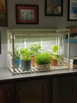 Oslo 1-Tier LED Grow Light Garden -garden Sales Store 8611002 01IN tif