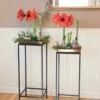 Square Nesting Plant Stands With Trays, Set Of 2 1 Square Nesting Plant Stands With Trays, Set Of 2 -garden Sales Store 8611014 3660 tif