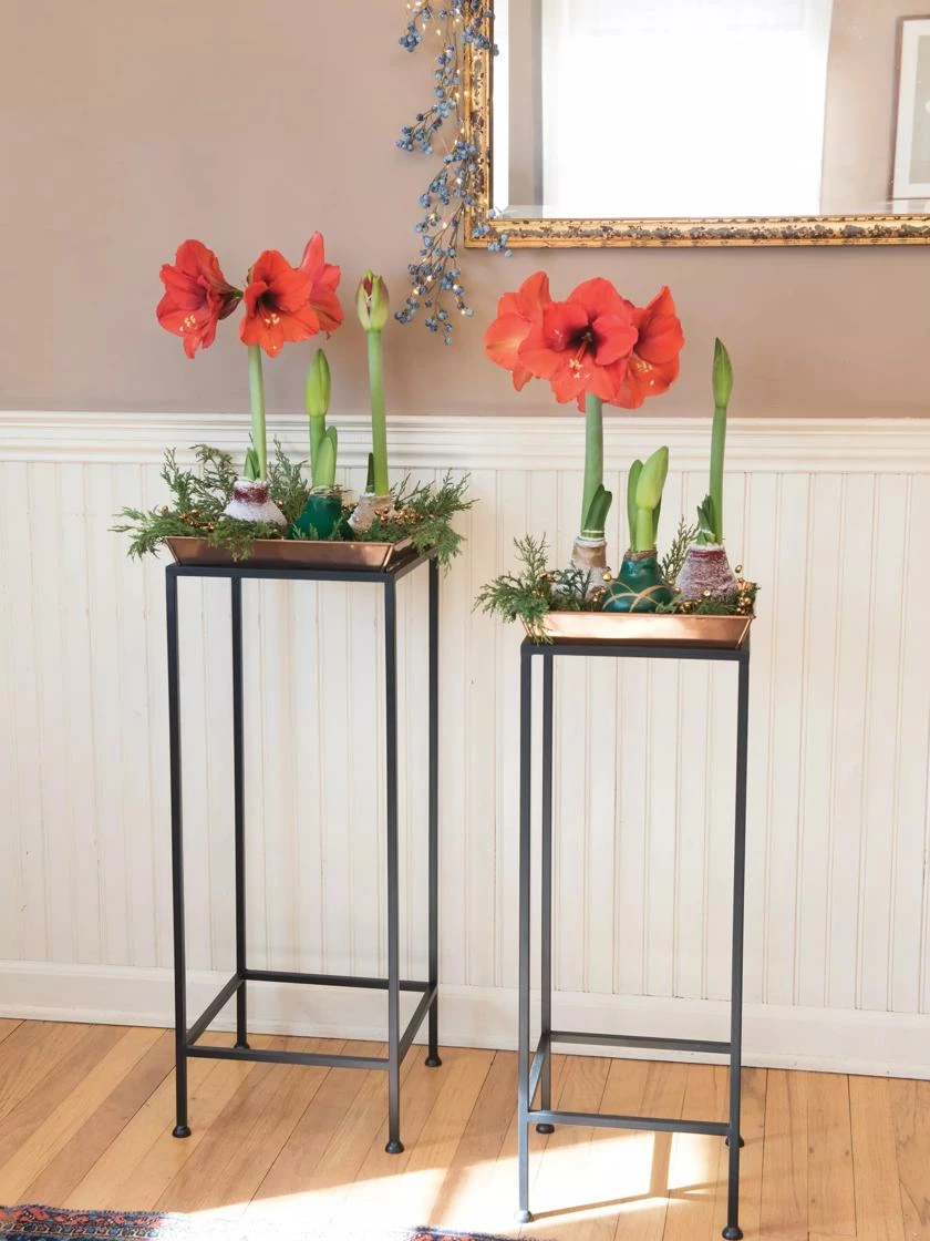 Square Nesting Plant Stands With Trays, Set Of 2 3 Square Nesting Plant Stands With Trays, Set Of 2